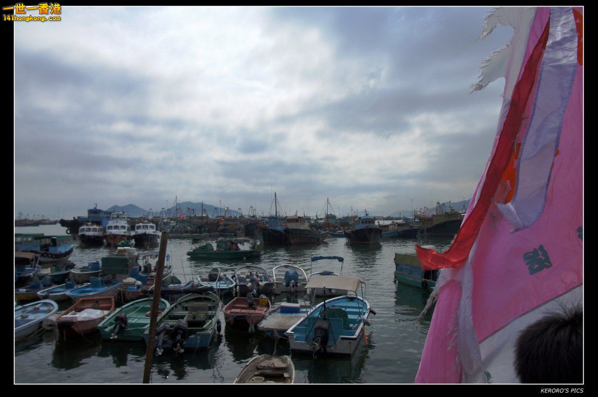 DSC08255.jpg