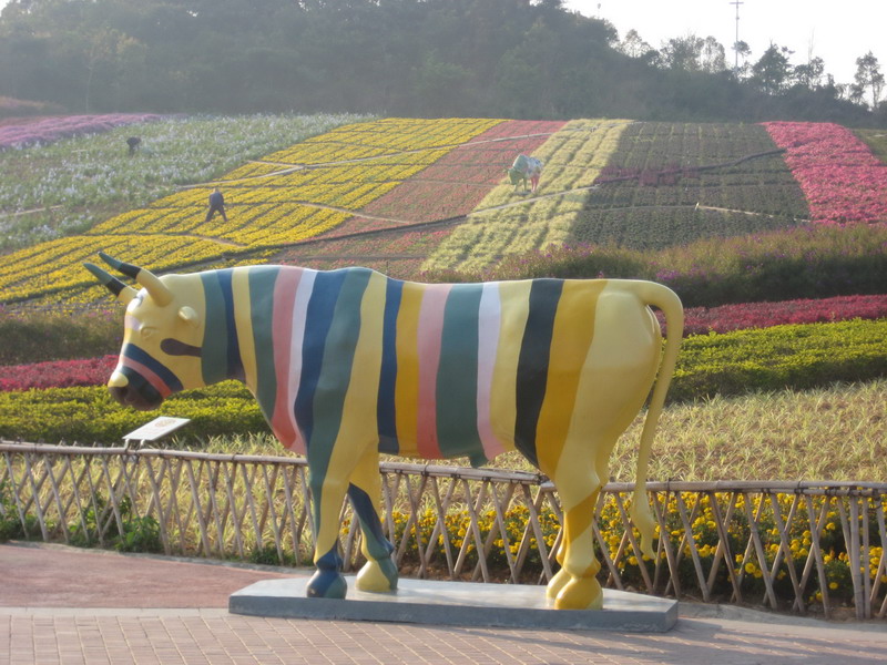 IMG_1955_调整大小.JPG