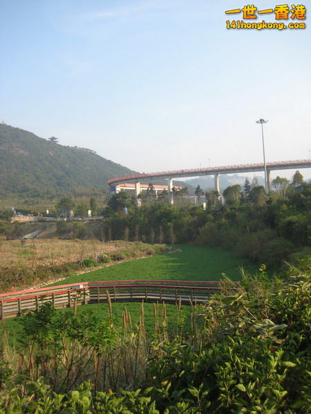 IMG_1952_调整大小.JPG