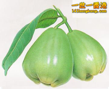 Lainwu_(Wax_apple)_green_P00064.jpg