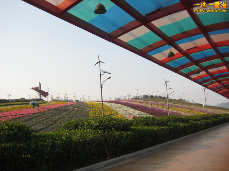IMG_1950_调整大小.JPG