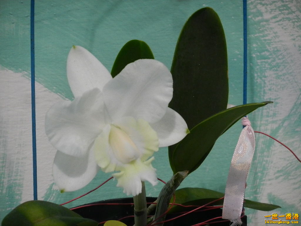 DSCN4446.JPG