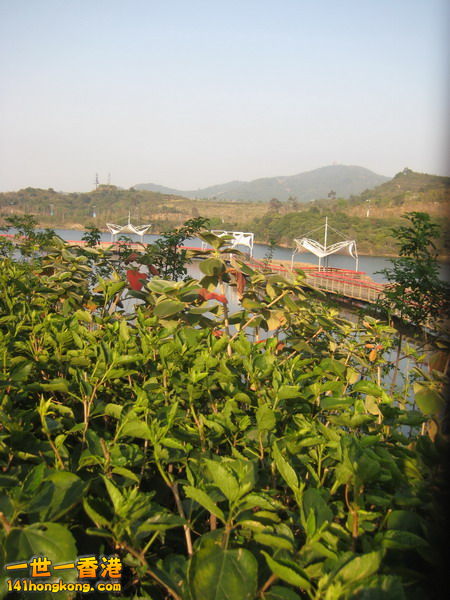 IMG_1948_调整大小.JPG
