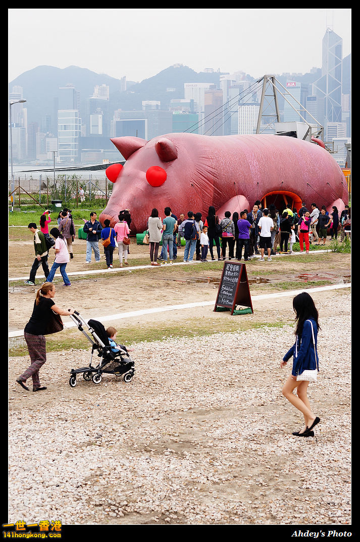 DSC07683-1.jpg