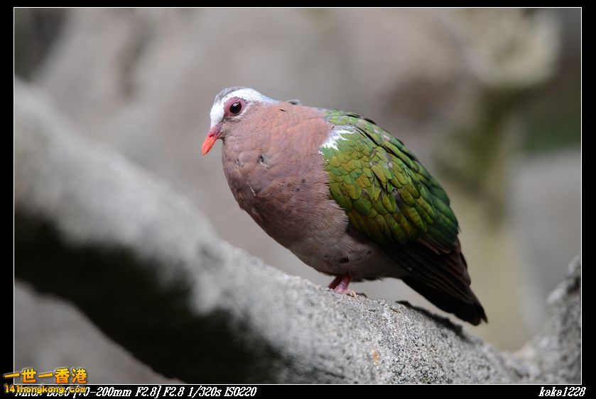 nEO_IMG_DSC_1166.jpg