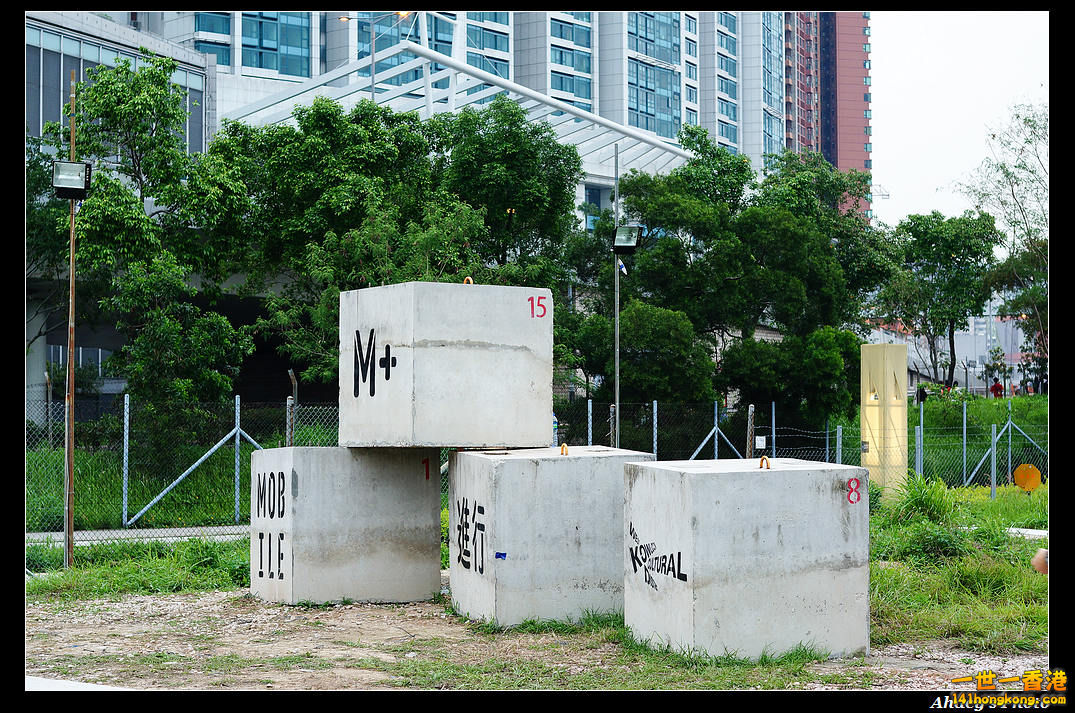 DSC07823-1.jpg