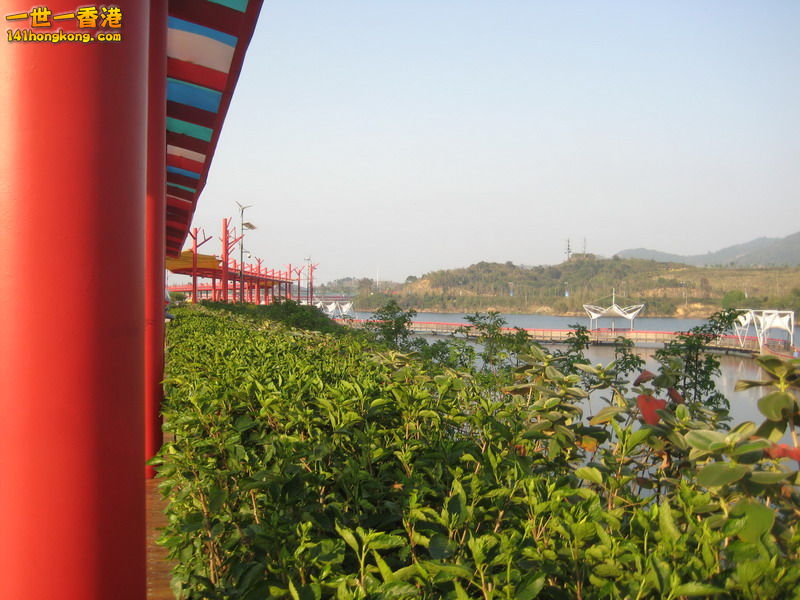 IMG_1946_调整大小.JPG