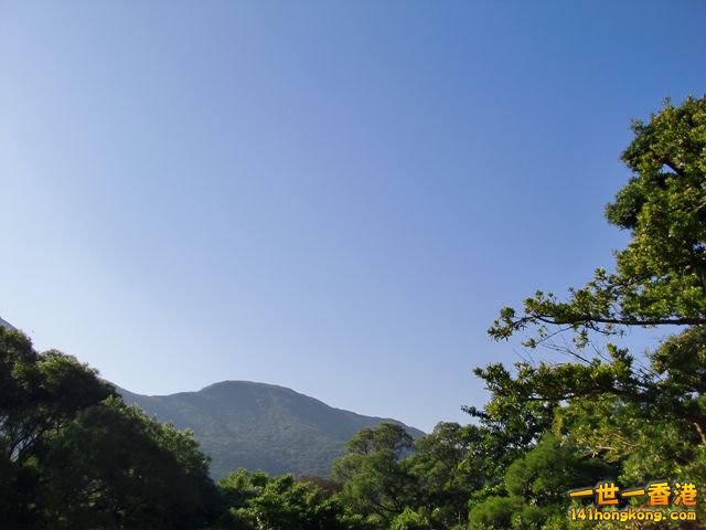 photo 2.jpg