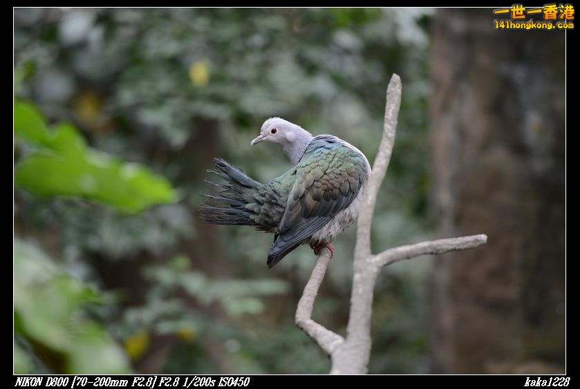 nEO_IMG_DSC_1043.jpg