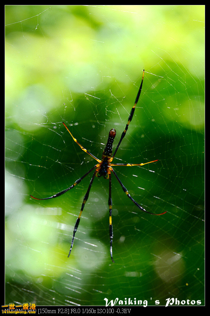 DSC_6765.jpg