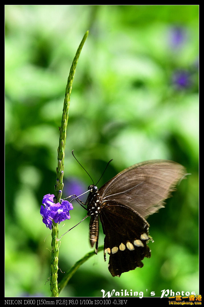 DSC_6773.jpg