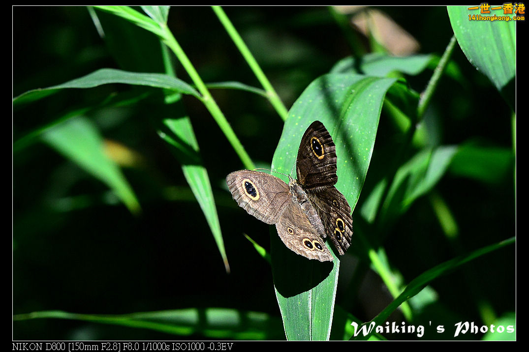 DSC_6788.jpg