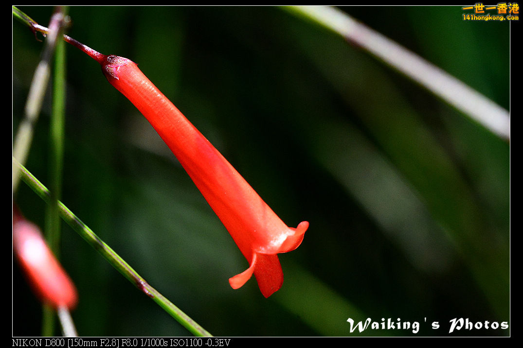 DSC_6832.jpg