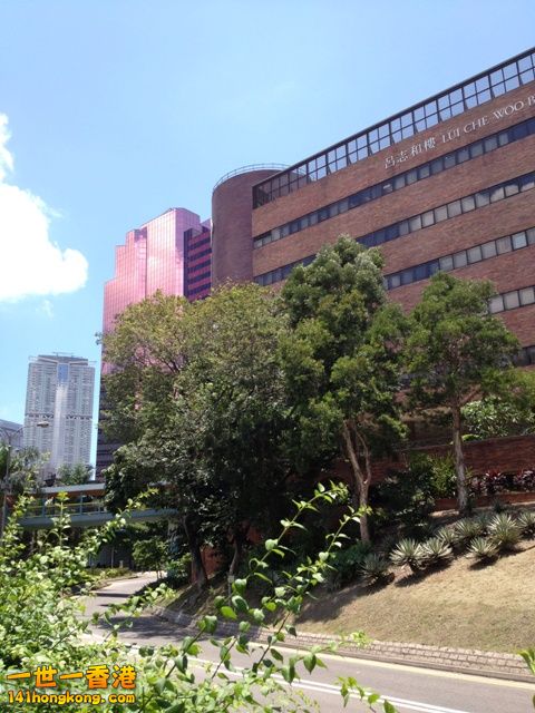 photo 2.jpg
