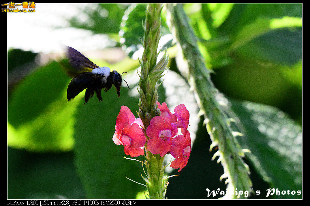 DSC_6857.jpg