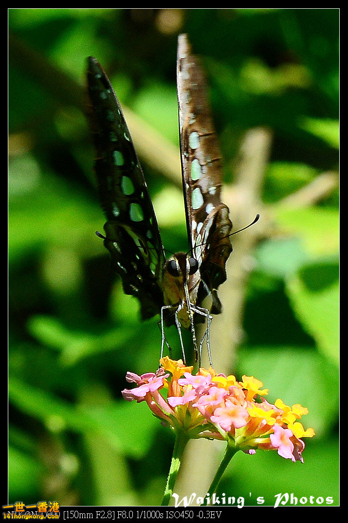 DSC_6902.jpg