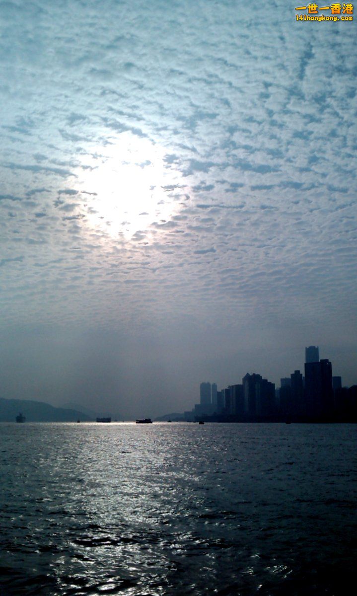 IMAG0065-001.jpg