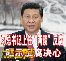china news 5.jpg