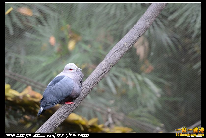 nEO_IMG_DSC_1038.jpg
