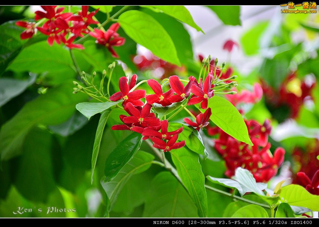 DSC_5308.jpg