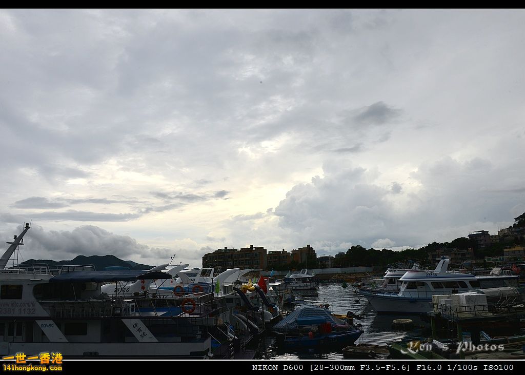 DSC_5321.jpg