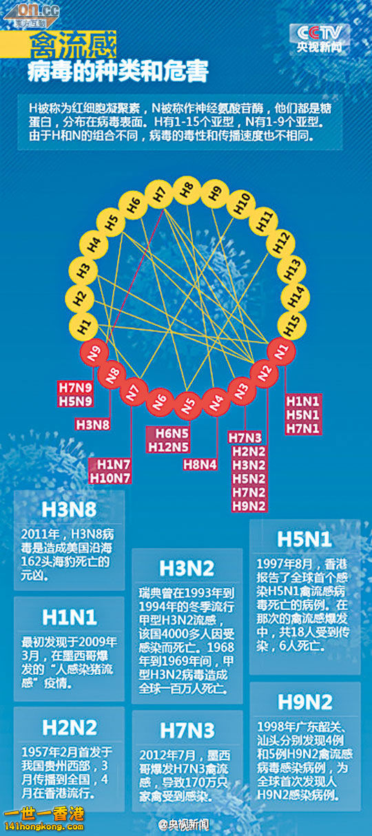 H7N9.jpg