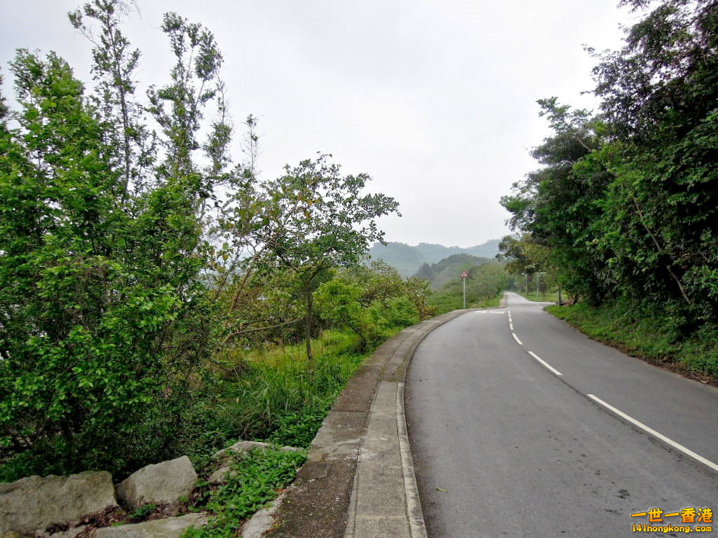 DSCN3650.JPG