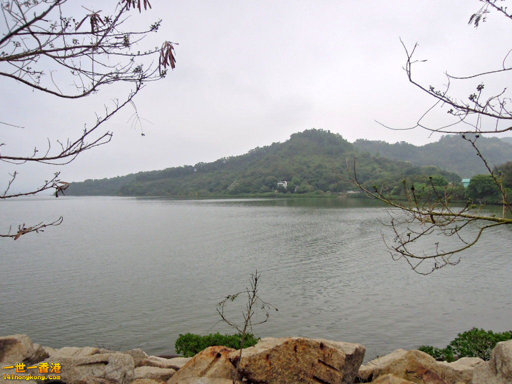 DSCN3653.JPG