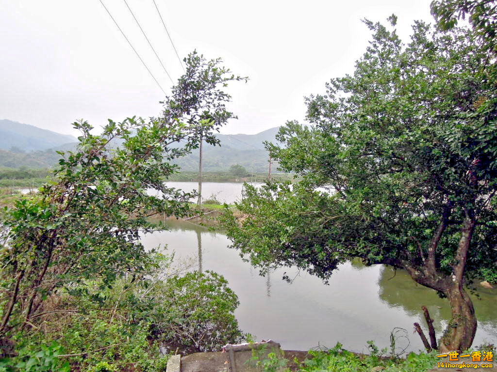 DSCN3662.JPG
