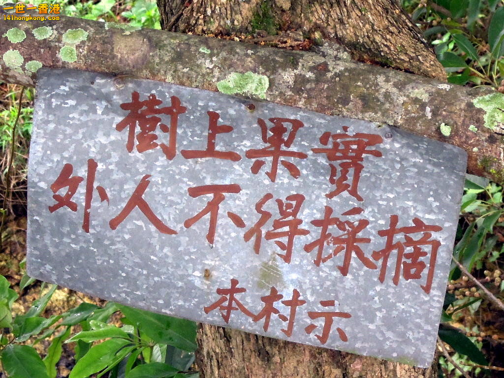 DSCN3665.JPG