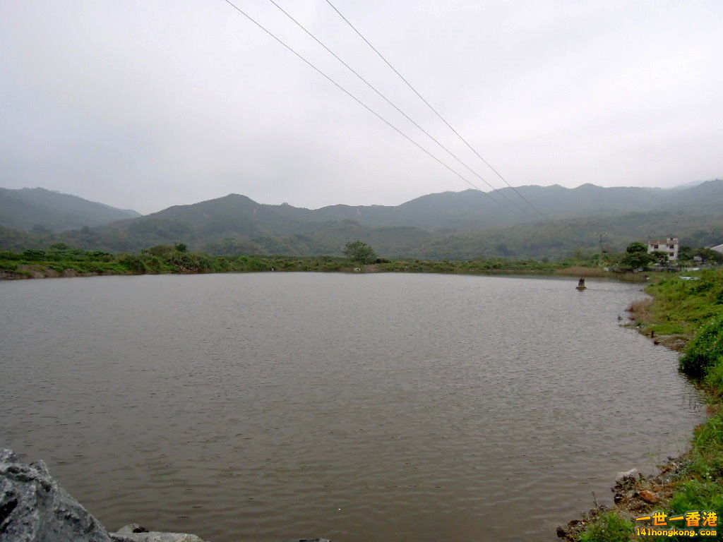 DSCN3667.JPG