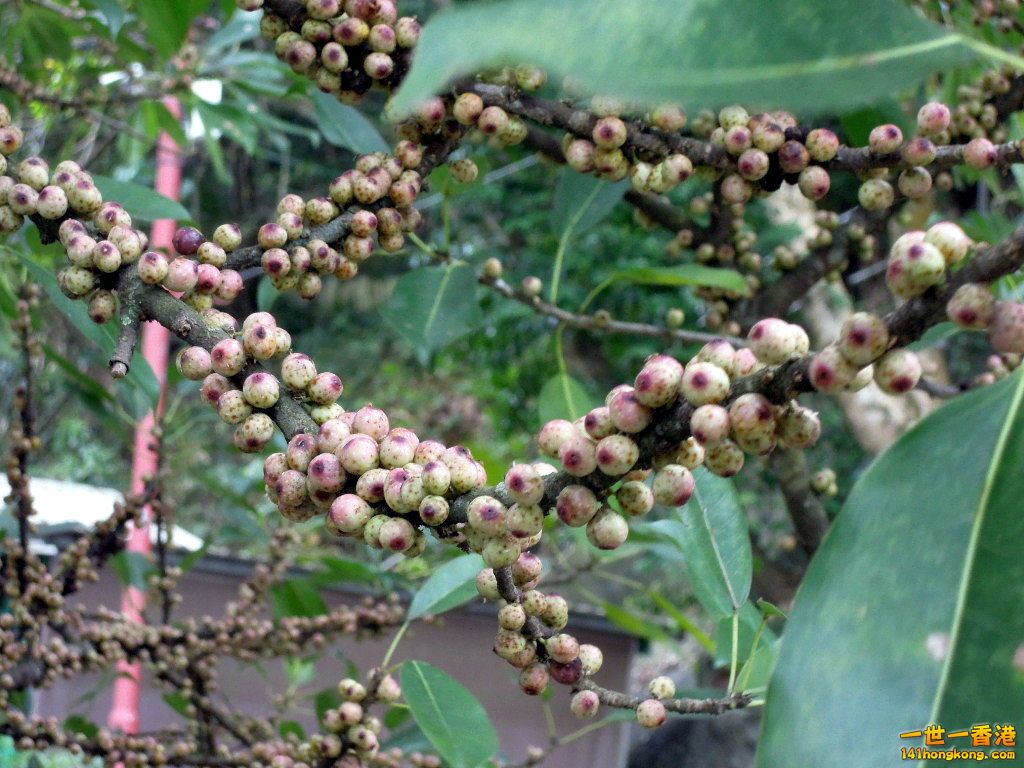 DSCN3666.JPG