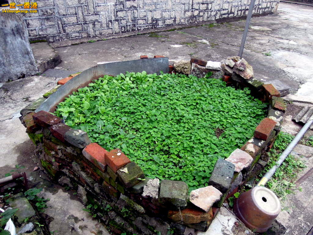 DSCN3693.JPG