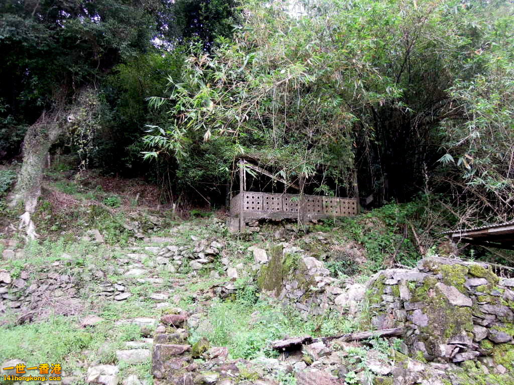 DSCN3695.JPG