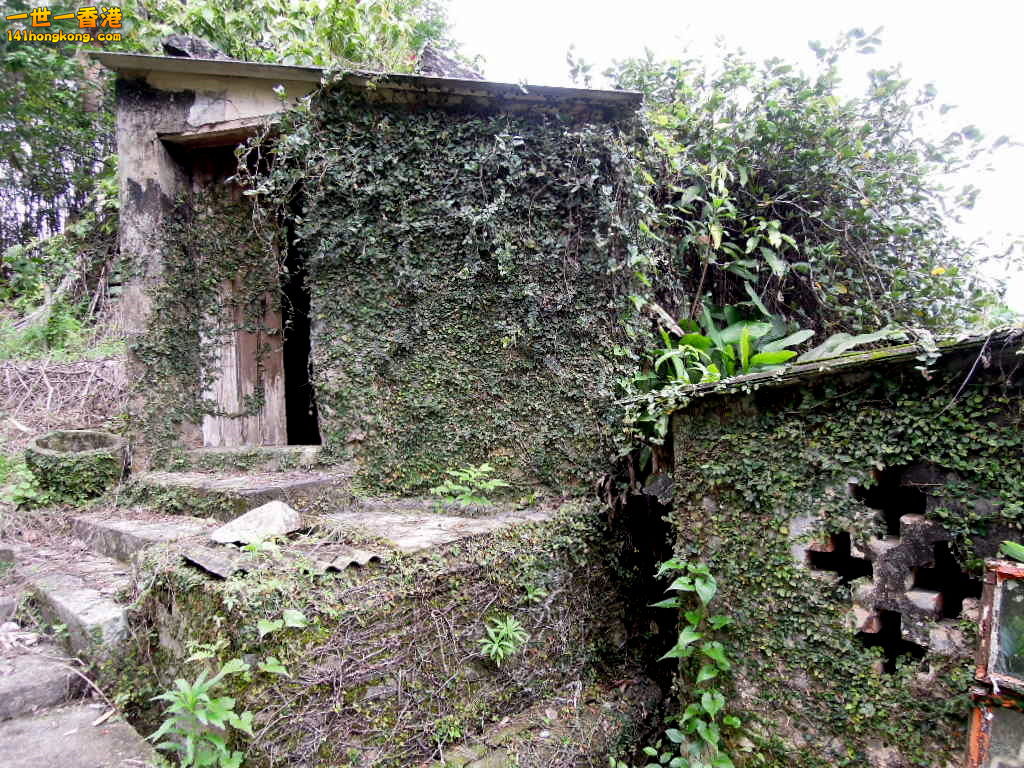 DSCN3697.JPG