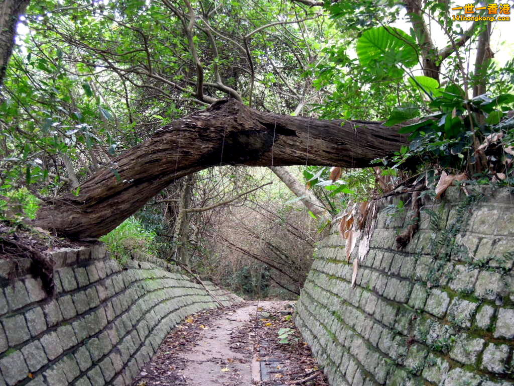 DSCN3755.JPG