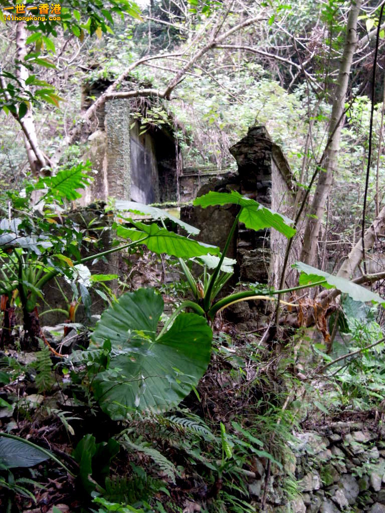 DSCN3757.JPG