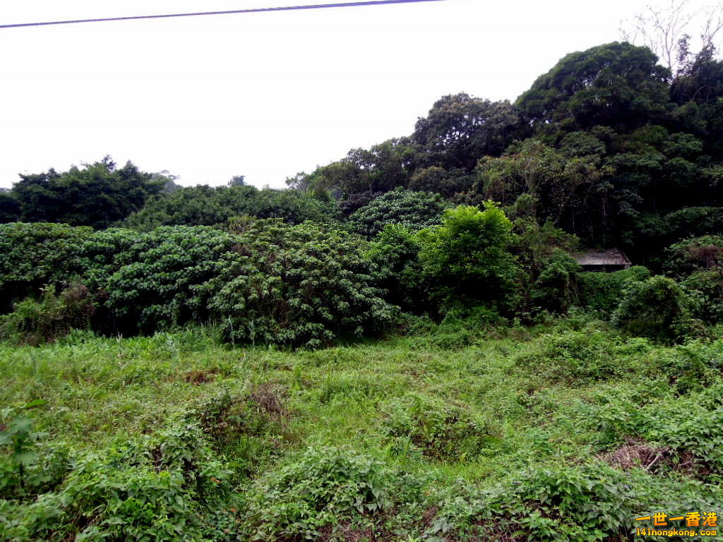 DSCN3760.JPG