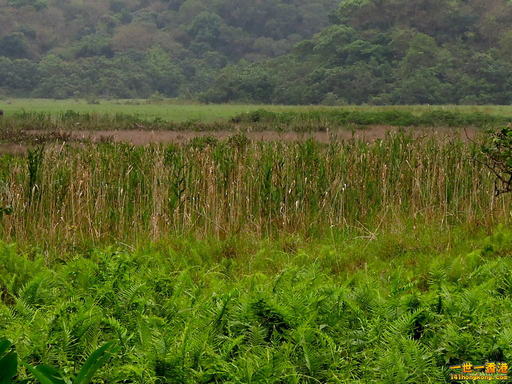 DSCN3767.JPG