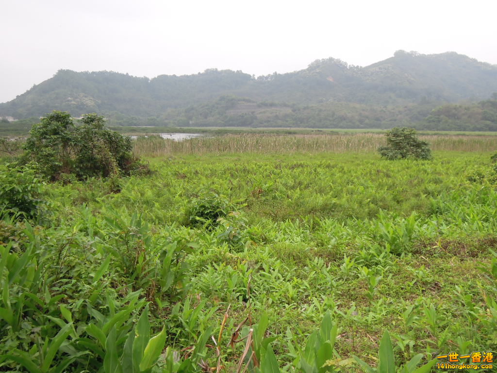 DSCN3769.JPG
