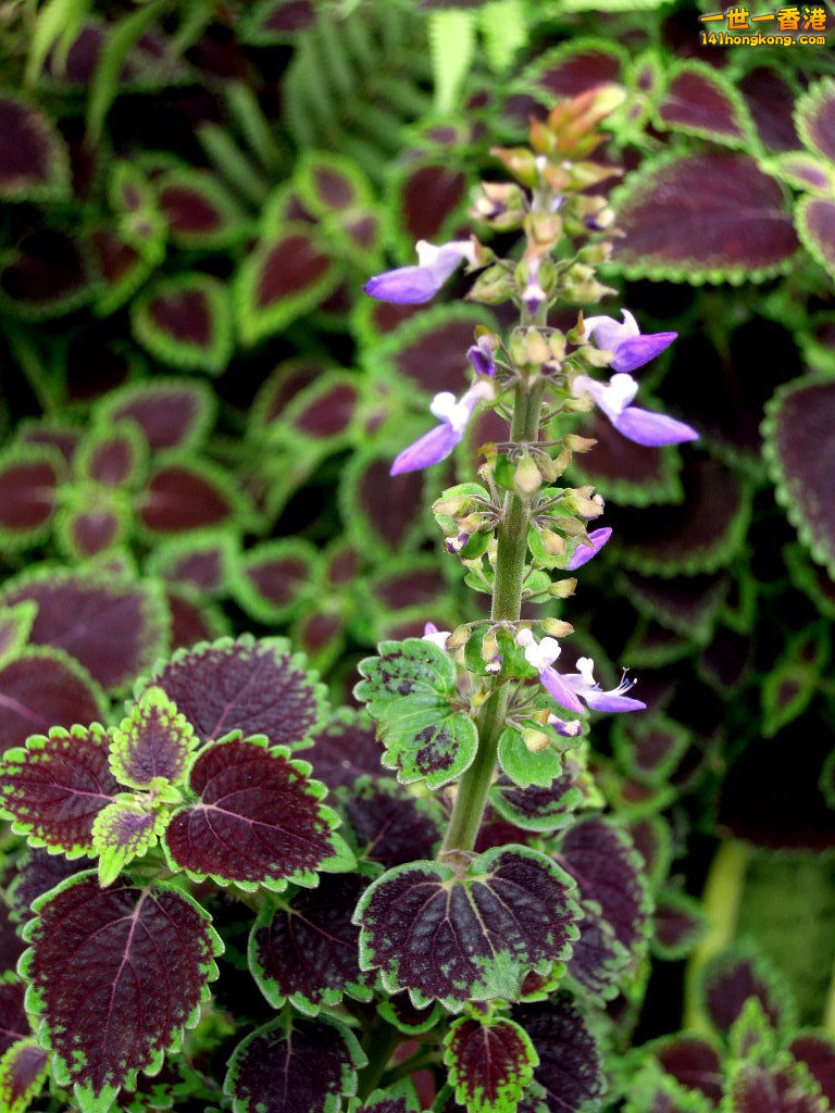 DSCN3774.JPG