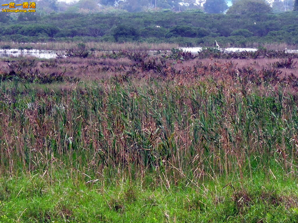 DSCN3783.JPG