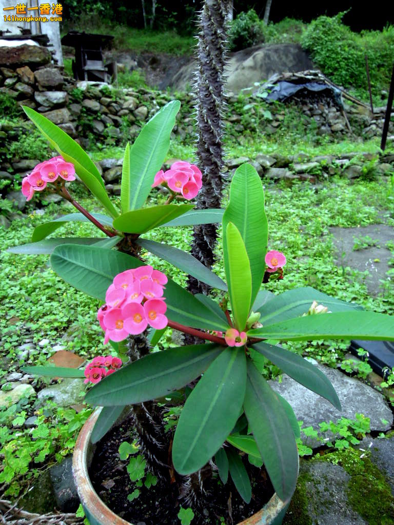 DSCN3816.JPG