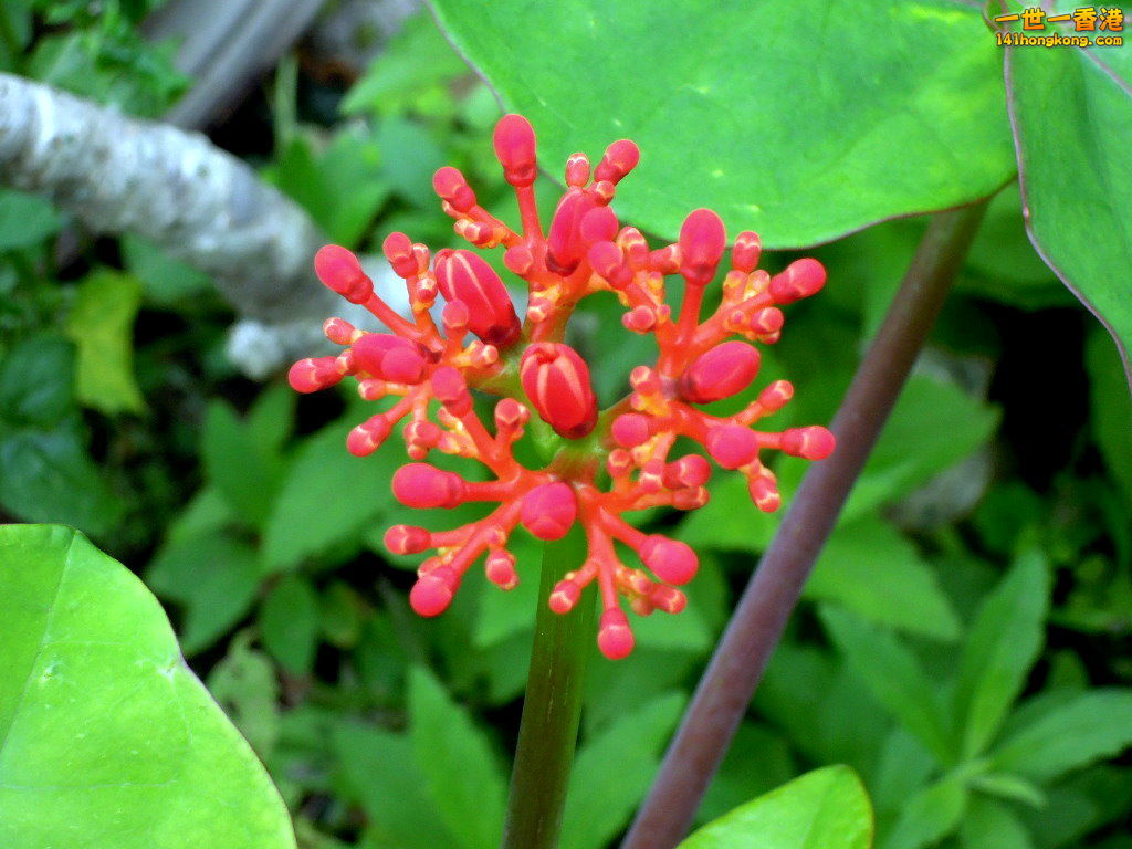 DSCN3820.JPG