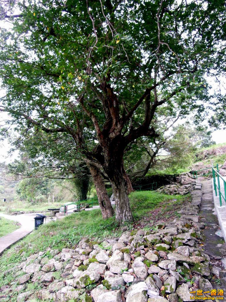 DSCN3784.JPG