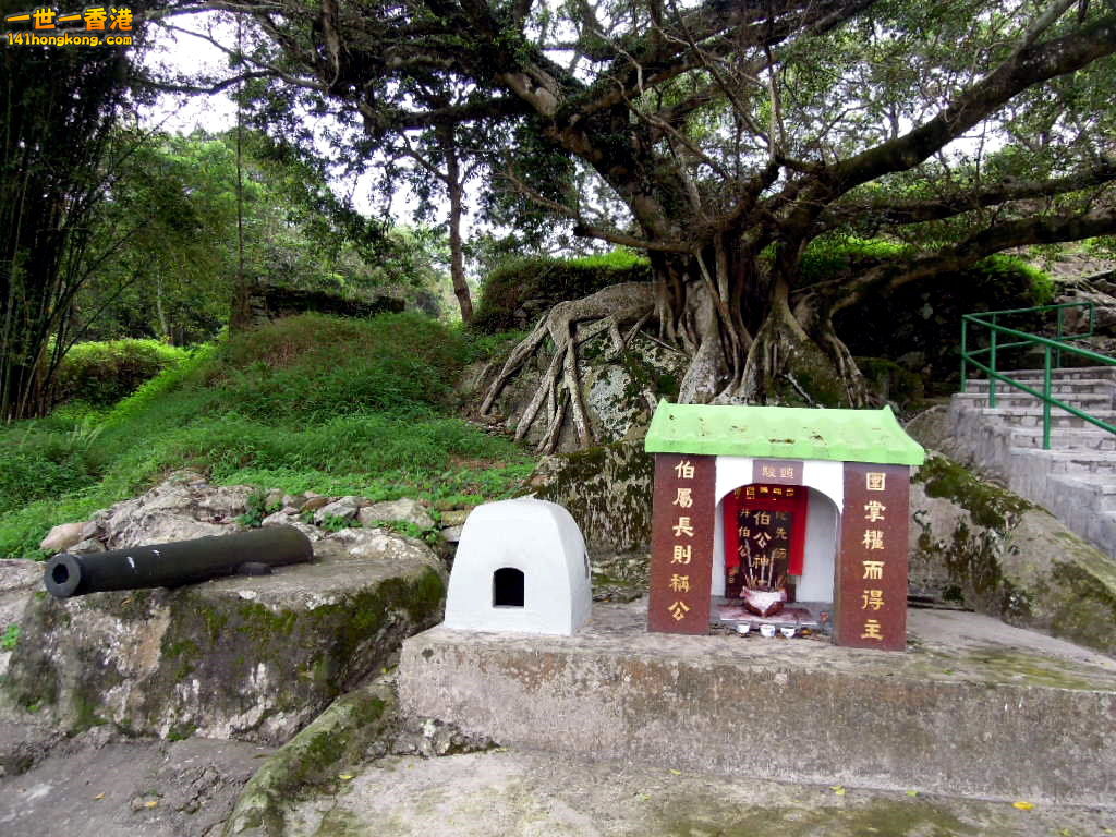 DSCN3786.JPG