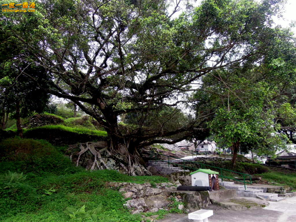 DSCN3790.JPG