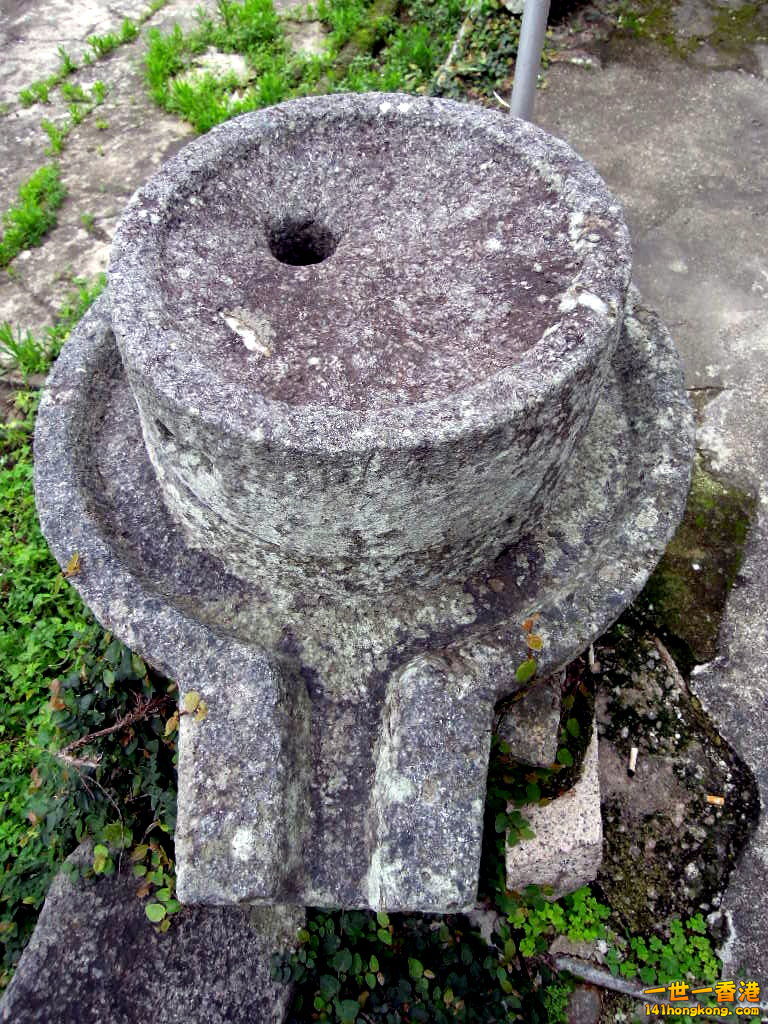 DSCN3709.JPG