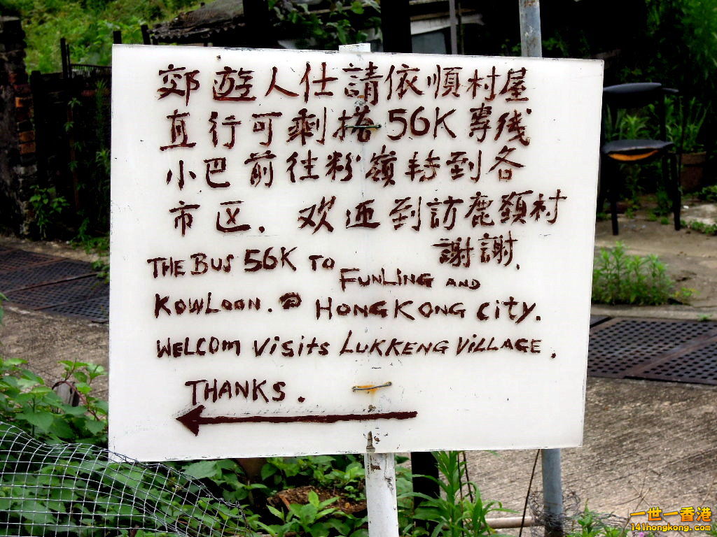 DSCN3822.JPG