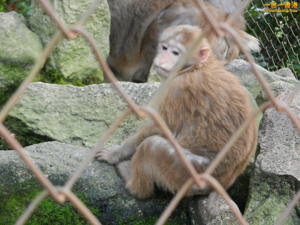 DSCN5915.JPG